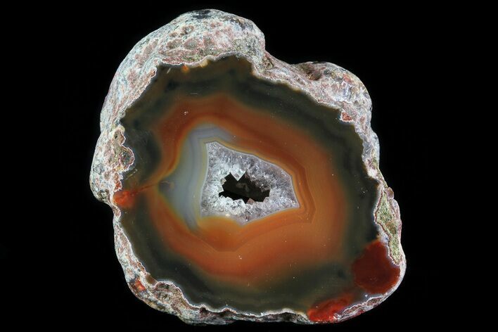 Beautiful Condor Agate From Argentina - Cut/Polished Face #79519